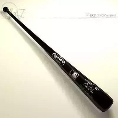 Baseball bat