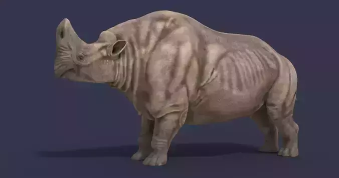 Embolotherium rhinoceros