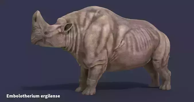 Extinct animals pack version 10 Low-poly 3D model