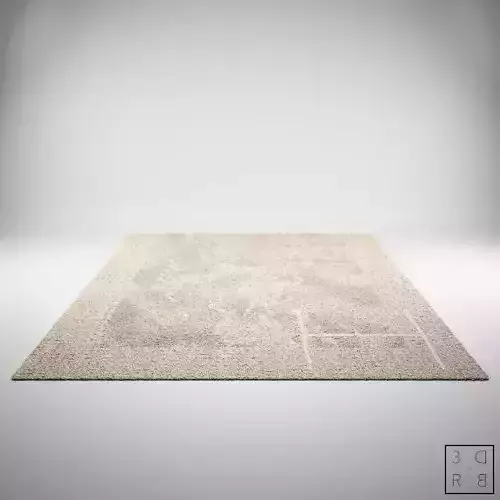 Carpet with footprint and Sofa trail