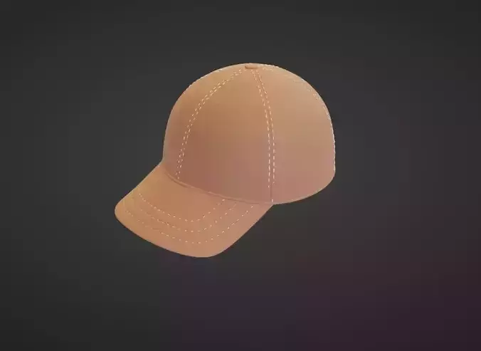 cap type 2 3D model