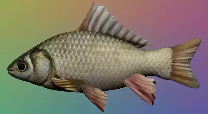 Fish - 3D Model creature