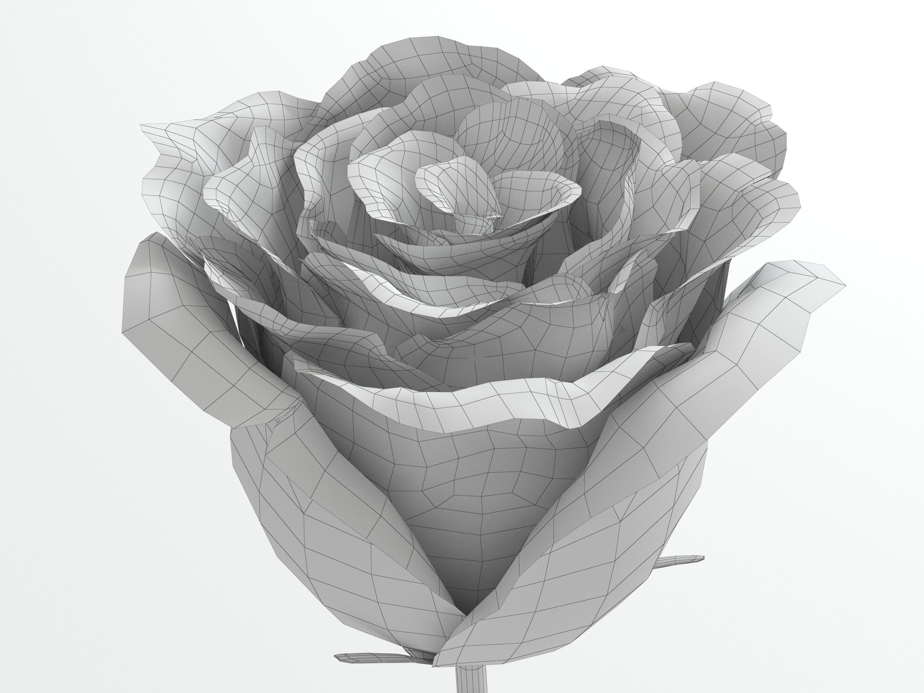 Rose red 3D model_5