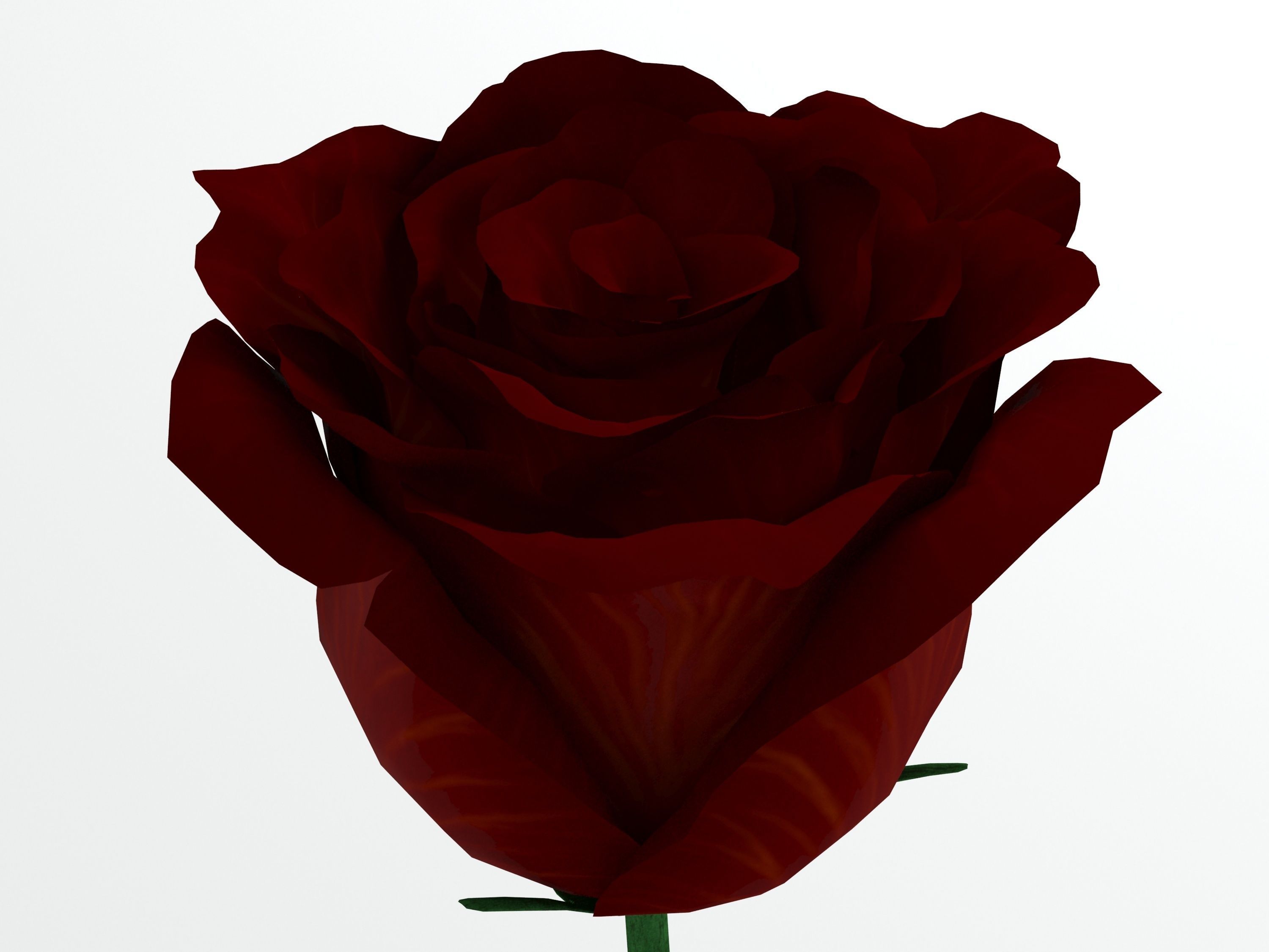 Rose red 3D model_4