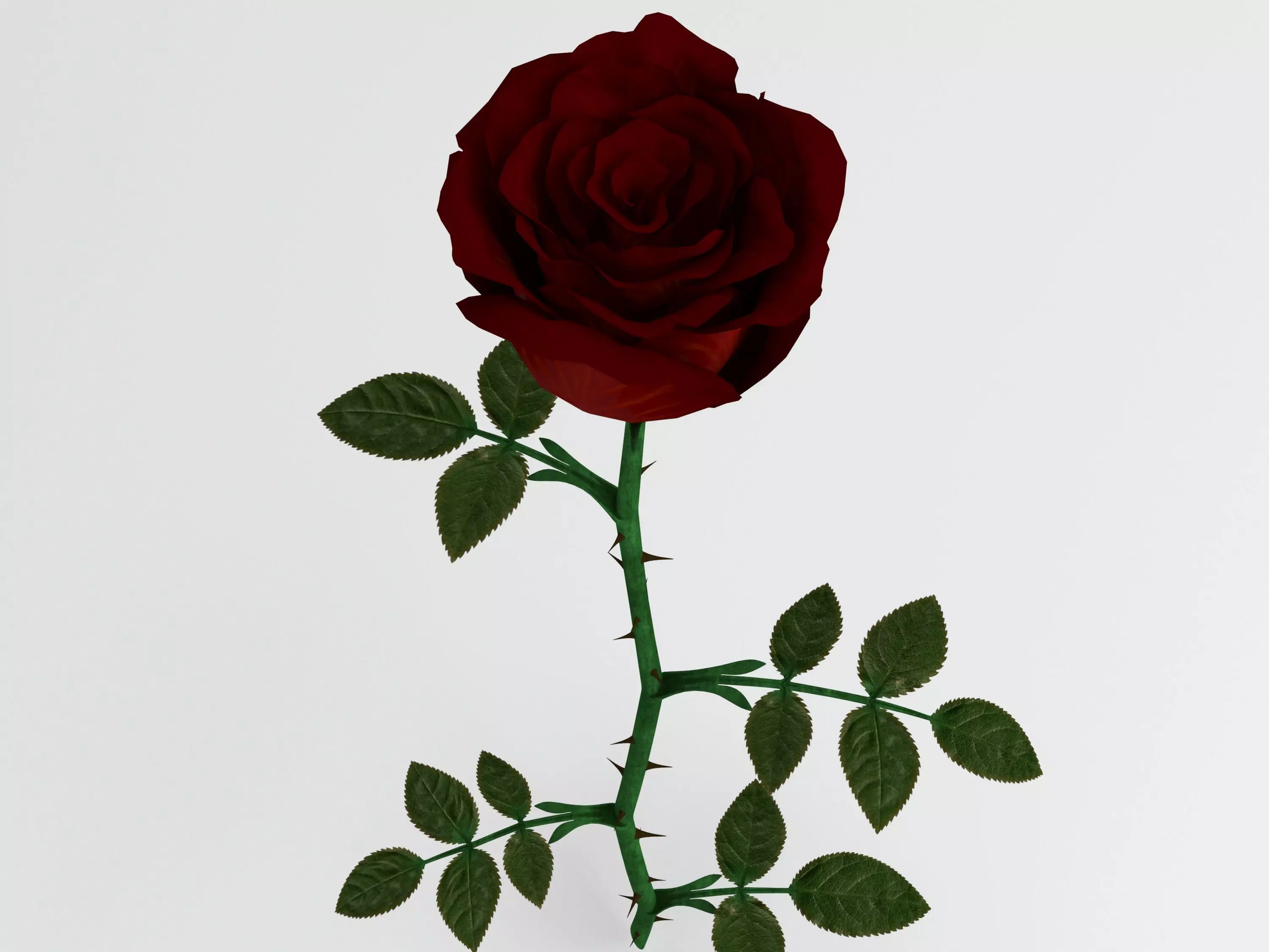 Rose red 3D model_0