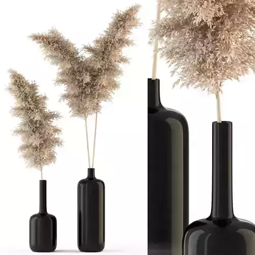 Plants collection 315