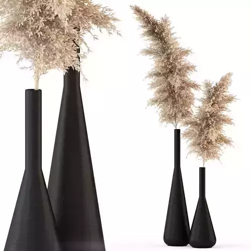 Plants collection 316