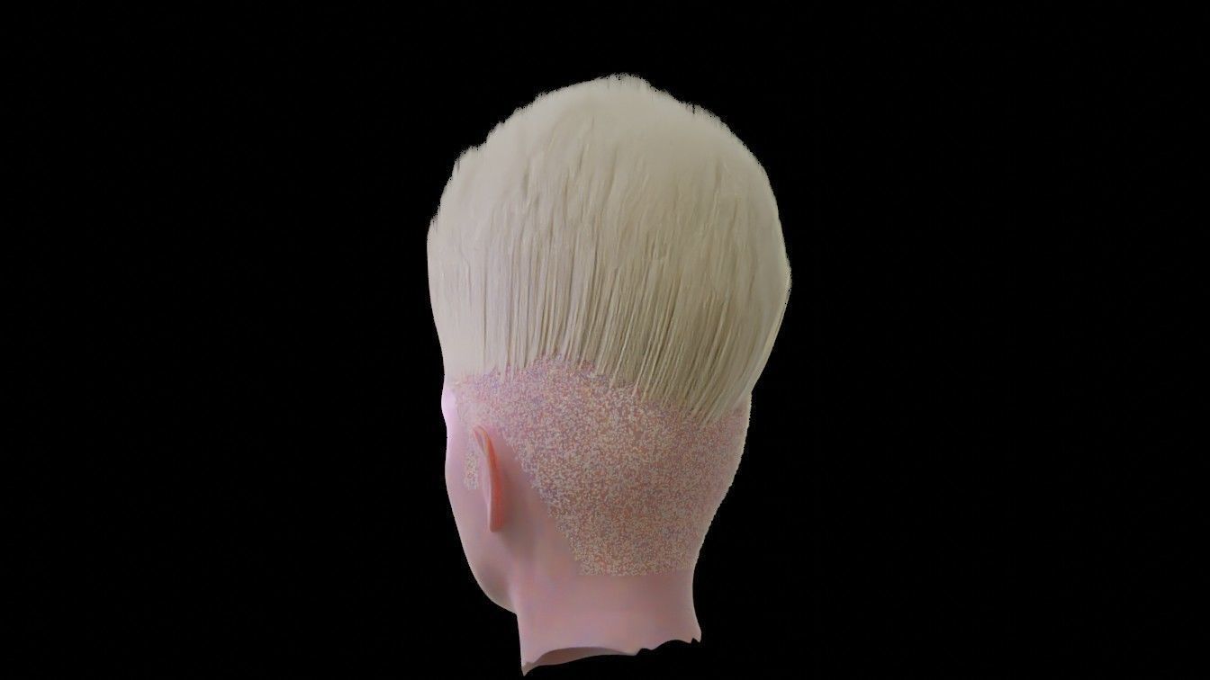 realistic hair model 2 sims - 3D model_11