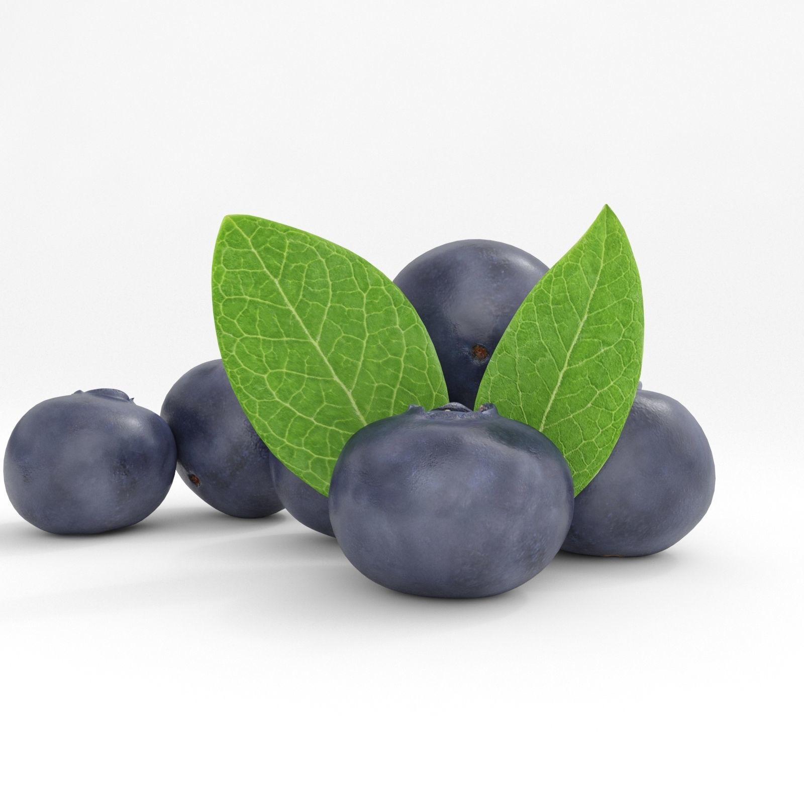 Blueberries 3D model_2
