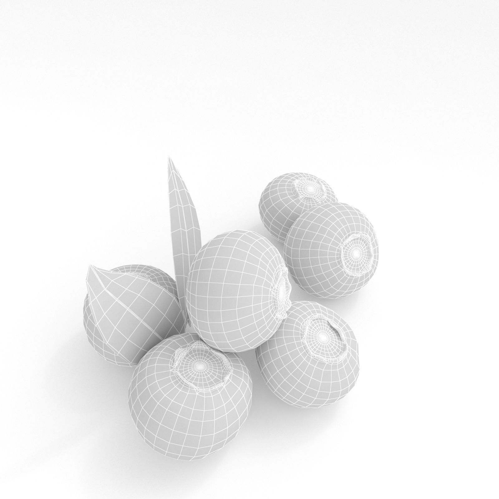 Blueberries 3D model_7