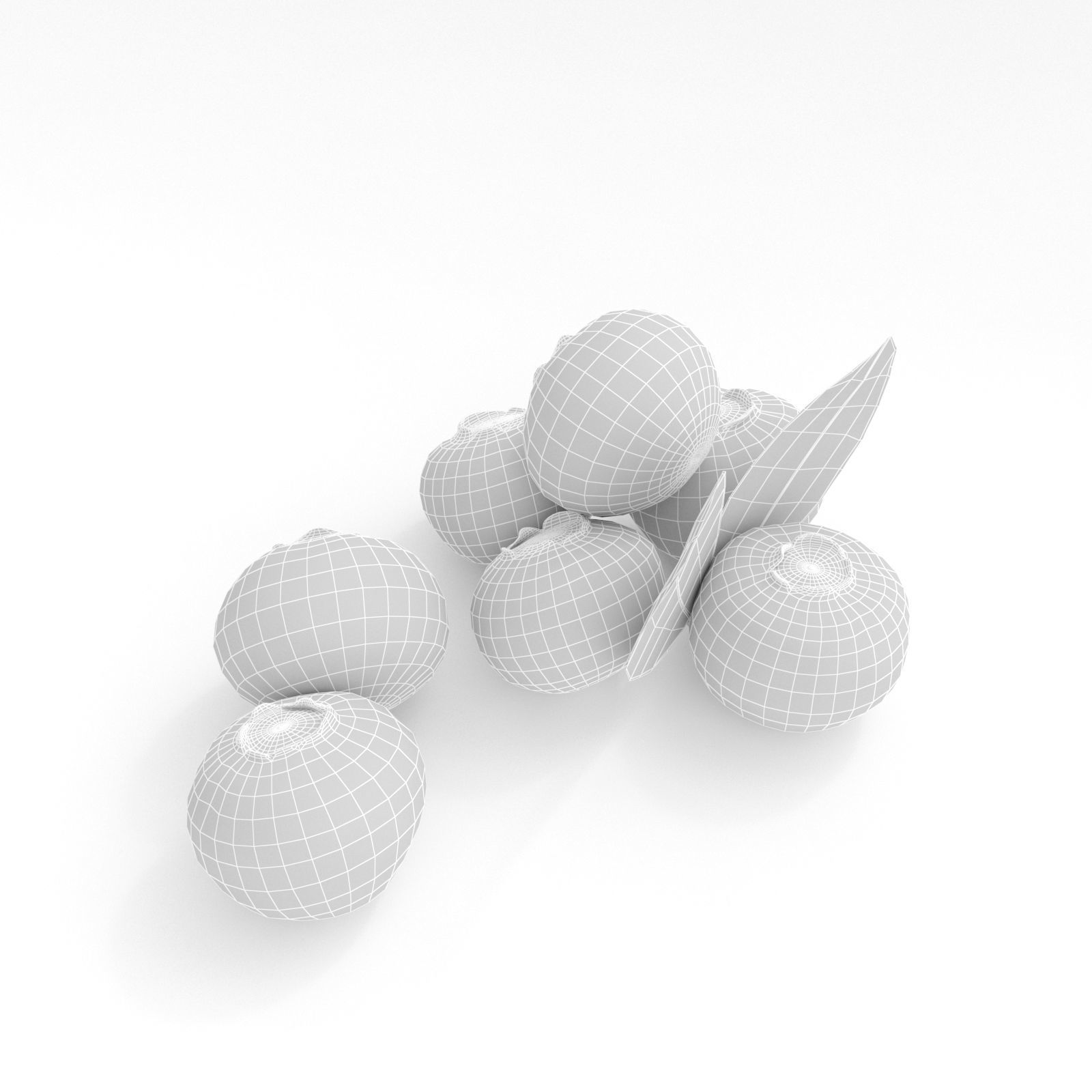 Blueberries 3D model_9