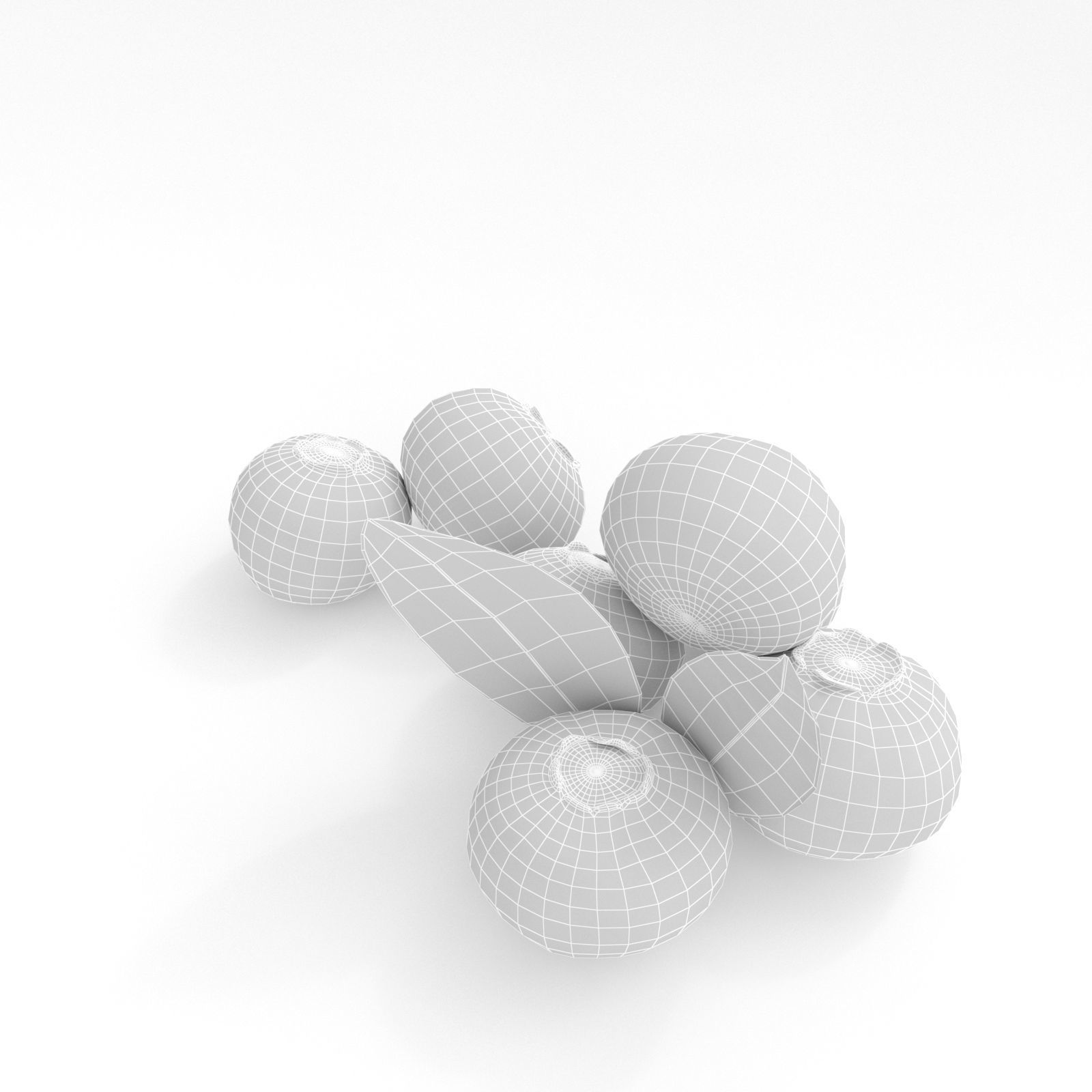 Blueberries 3D model_8
