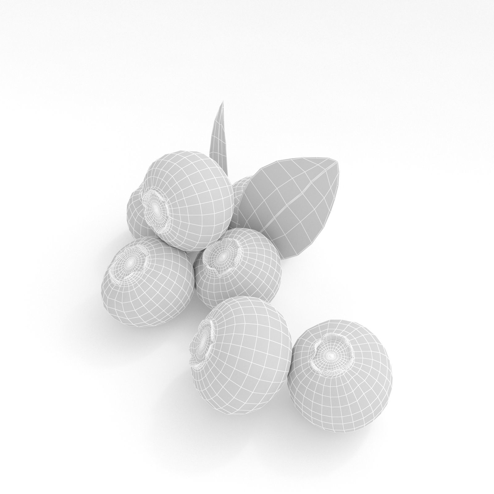 Blueberries 3D model_10