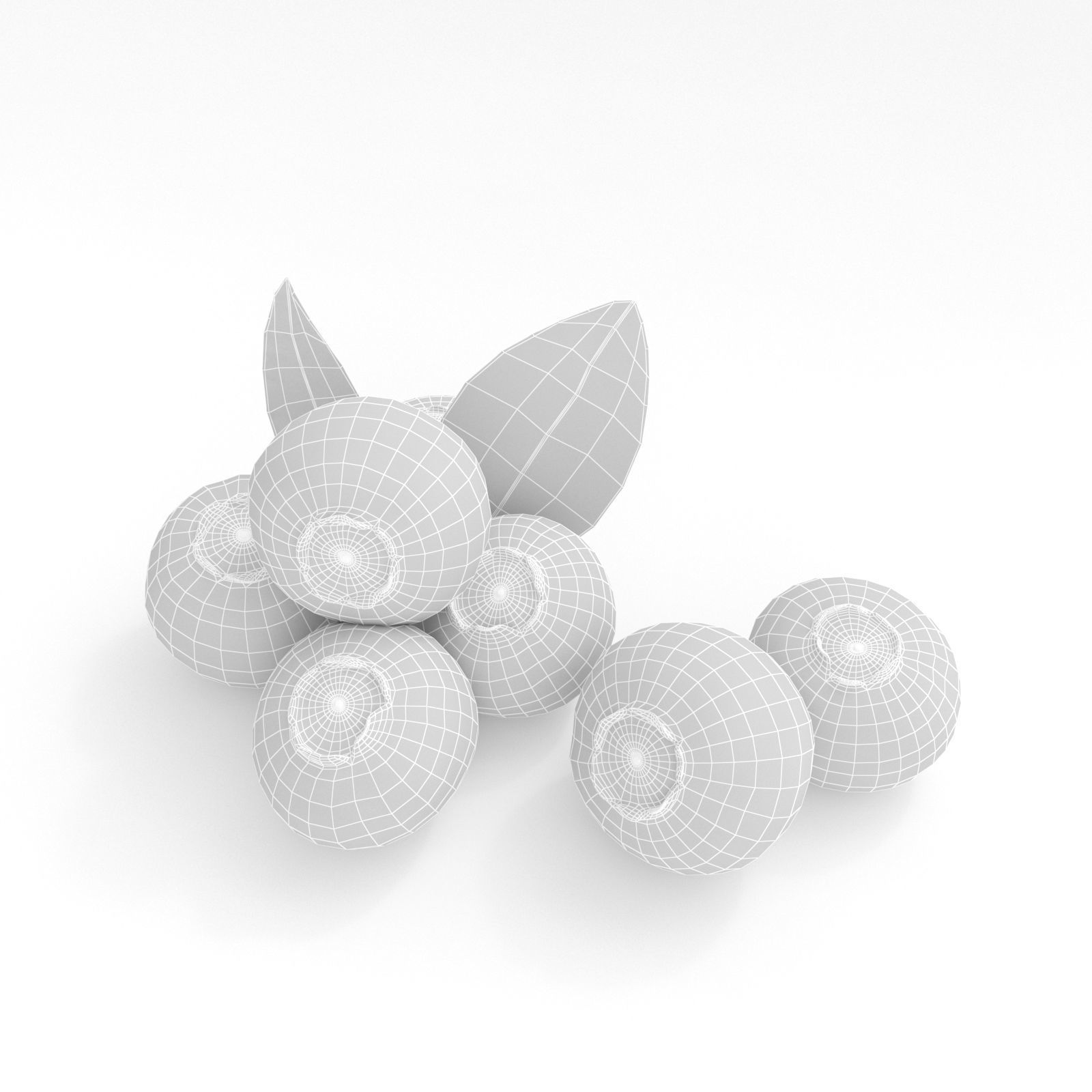 Blueberries 3D model_6