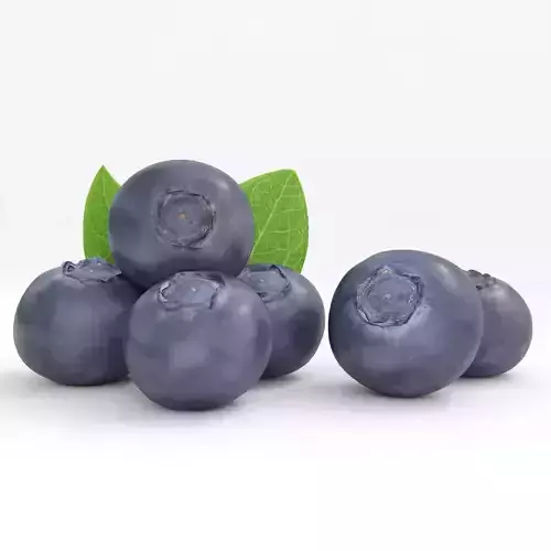 Blueberries 3D model