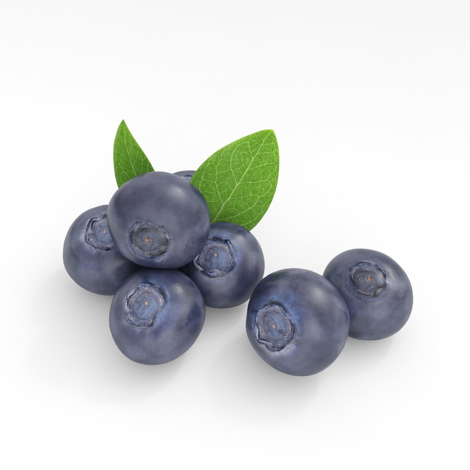 Blueberries 3D model_5