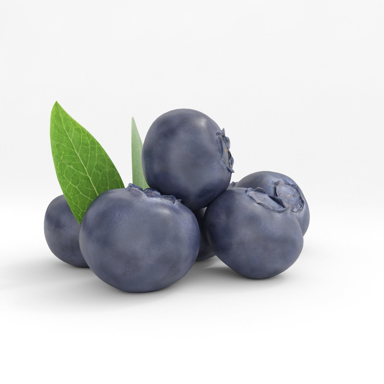 Blueberries 3D model_3