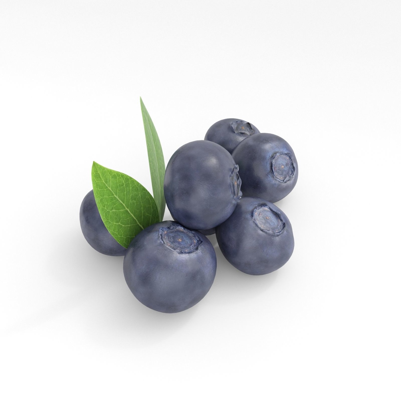 Blueberries 3D model_4