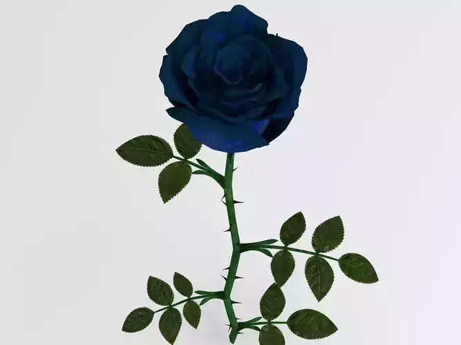 Rose blue