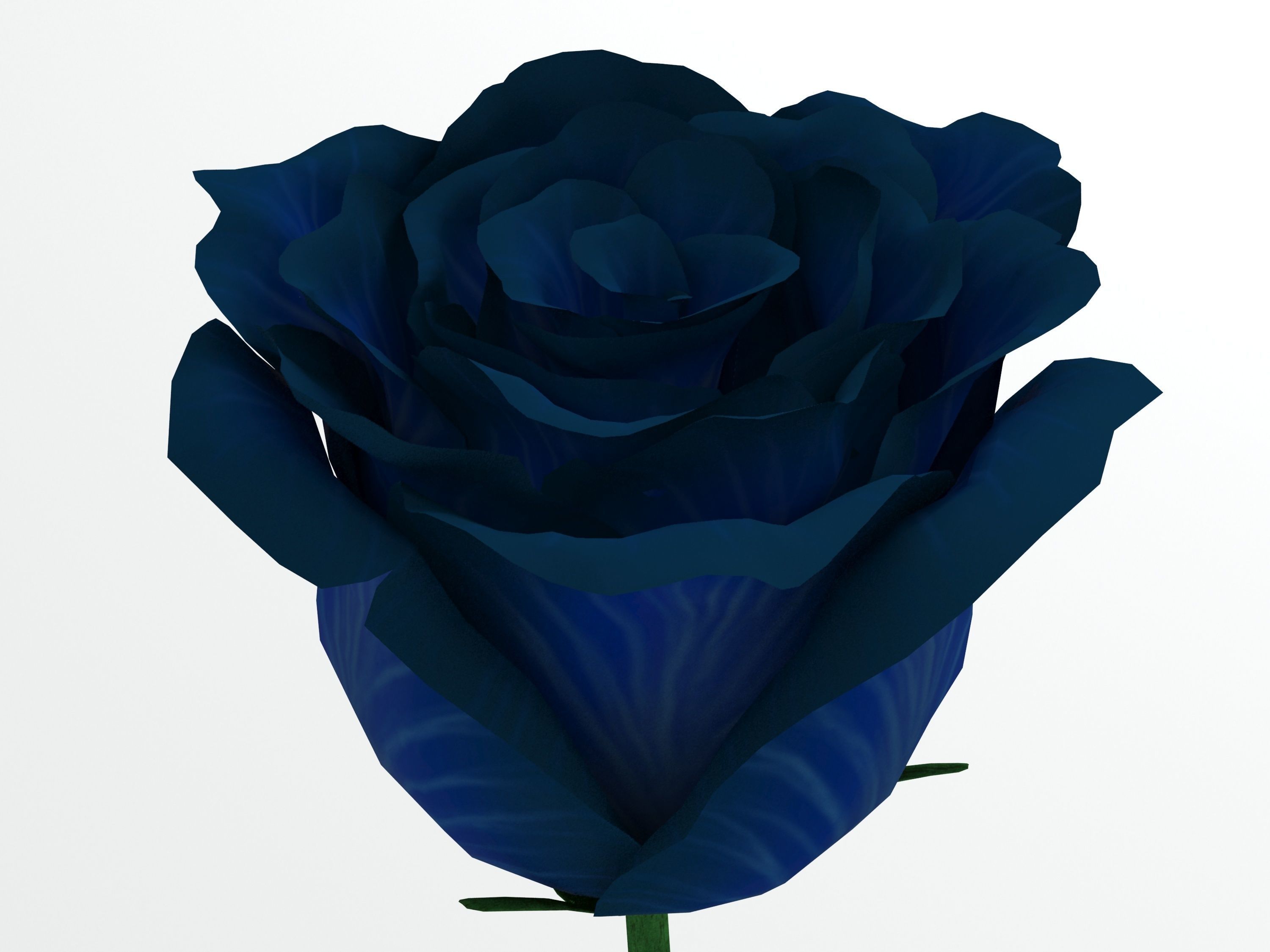 Rose blue 3D model | CGTrader