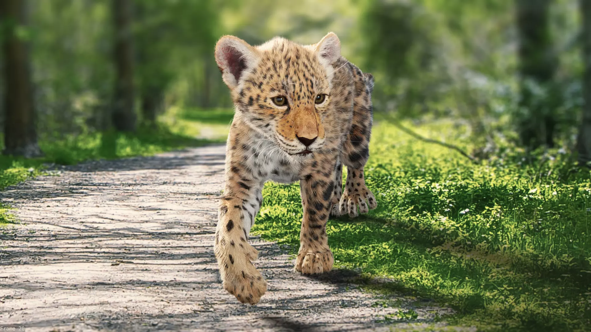 Young Jaguar Panthera Onca Rigged 3D model_0