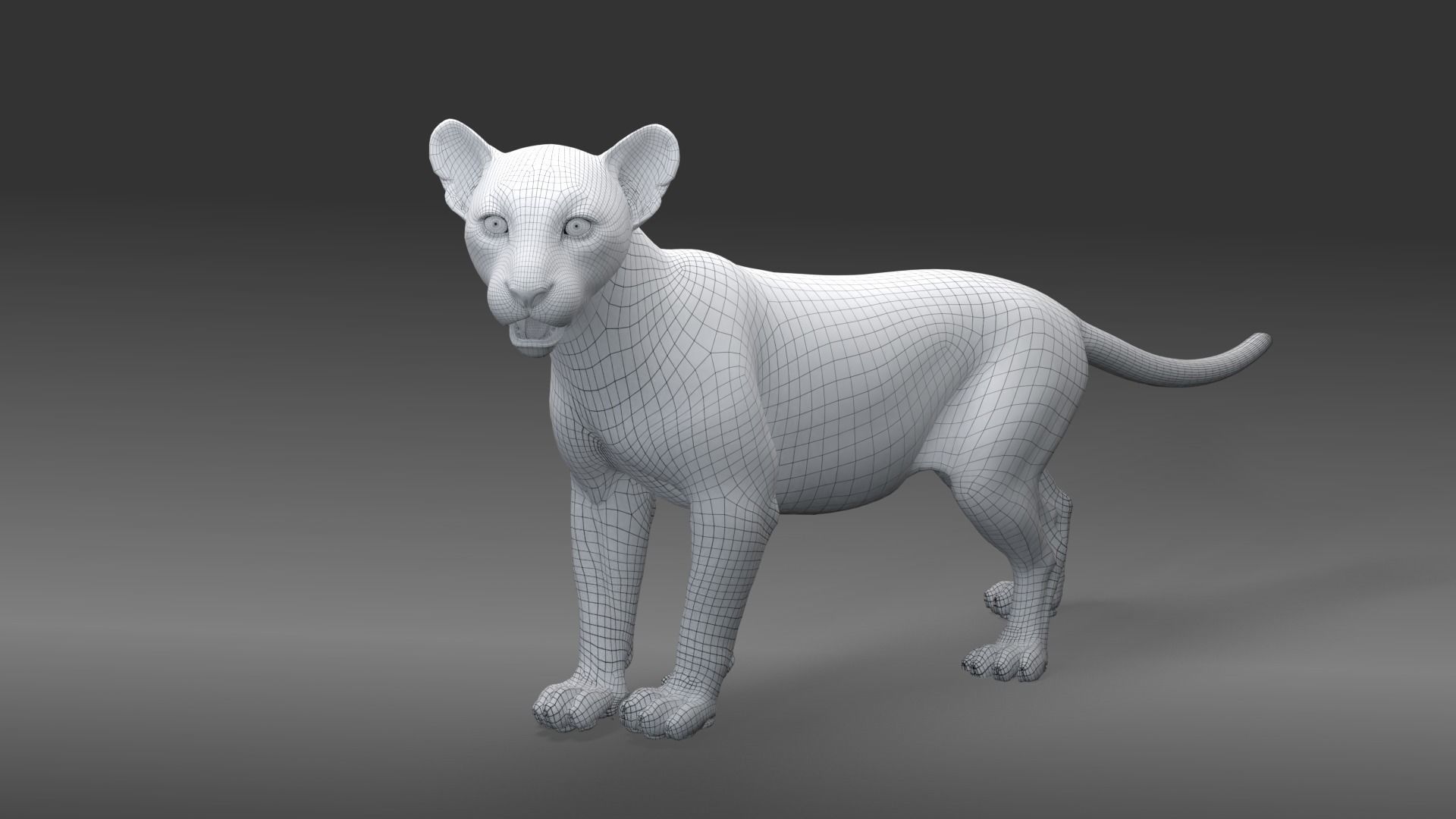 Young Jaguar Panthera Onca Rigged 3D model_11