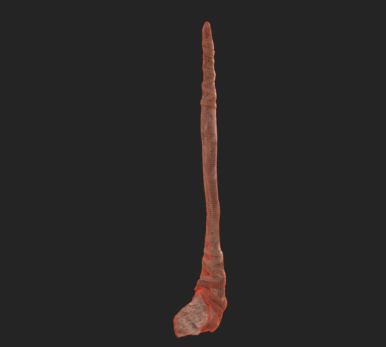  3D Real Primitive Axe Stone Low-poly 3D model_18