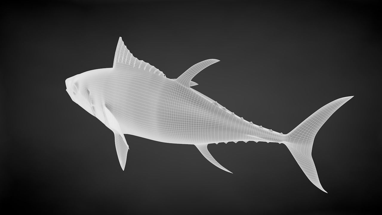 Yellowfin Tuna 3D Printable Model 3D print model_46