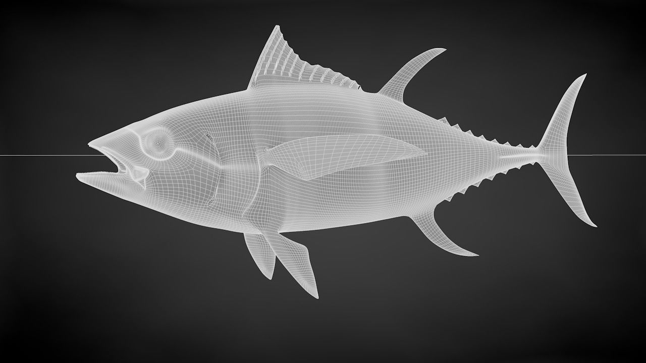 Yellowfin Tuna 3D Printable Model 3D print model_49