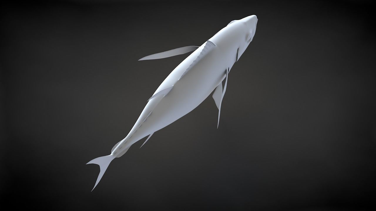 Yellowfin Tuna 3D Printable Model 3D print model_10