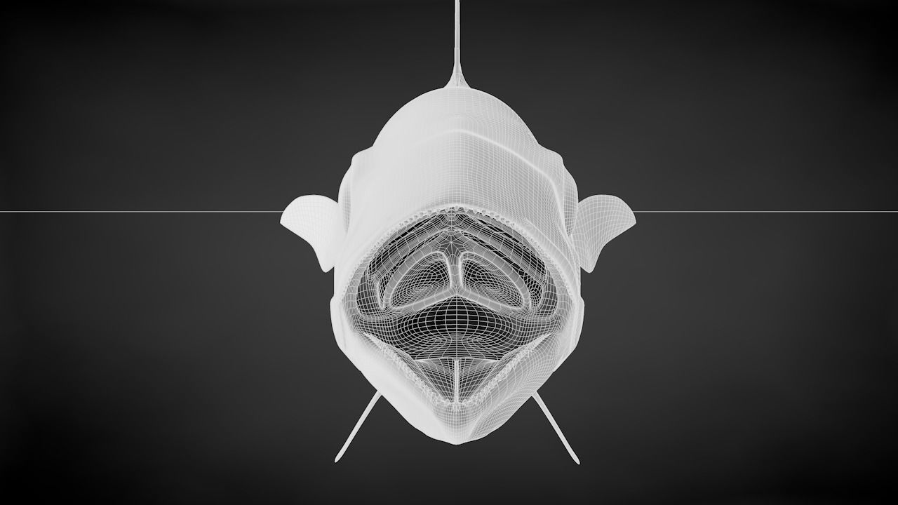 Yellowfin Tuna 3D Printable Model 3D print model_42