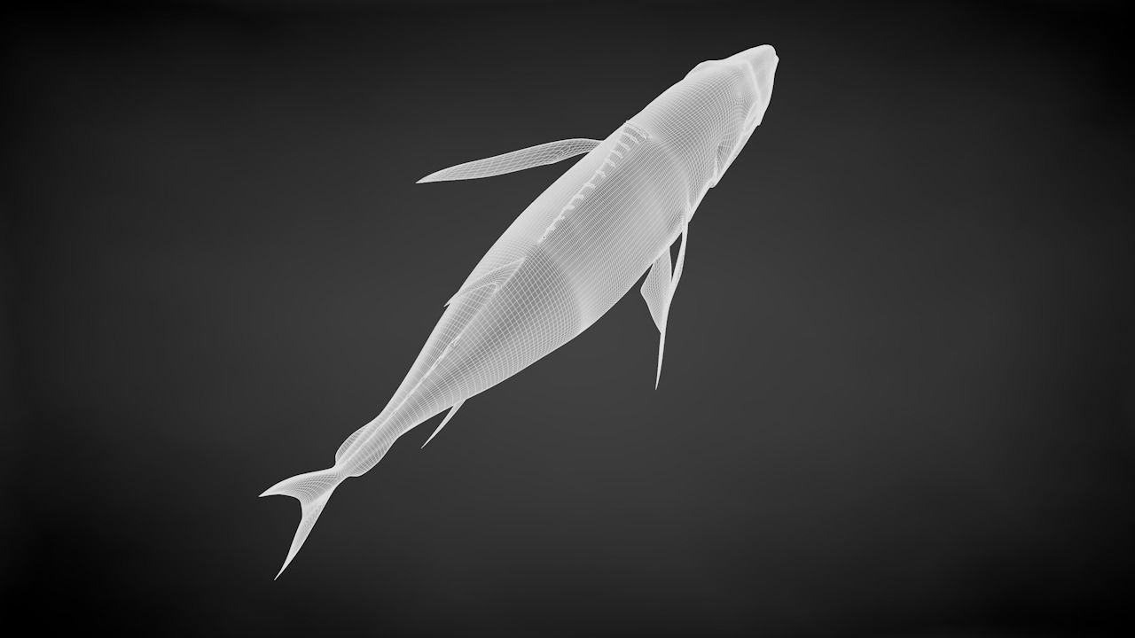 Yellowfin Tuna 3D Printable Model 3D print model_43