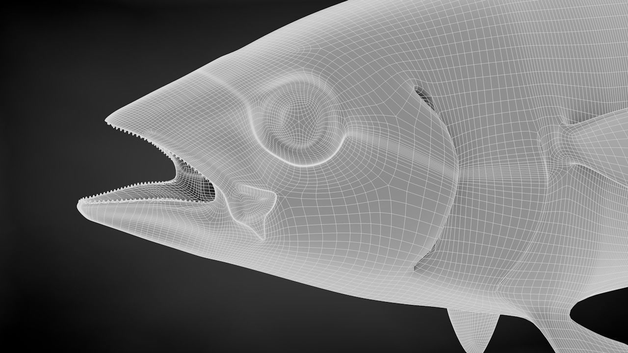 Yellowfin Tuna 3D Printable Model 3D print model_50