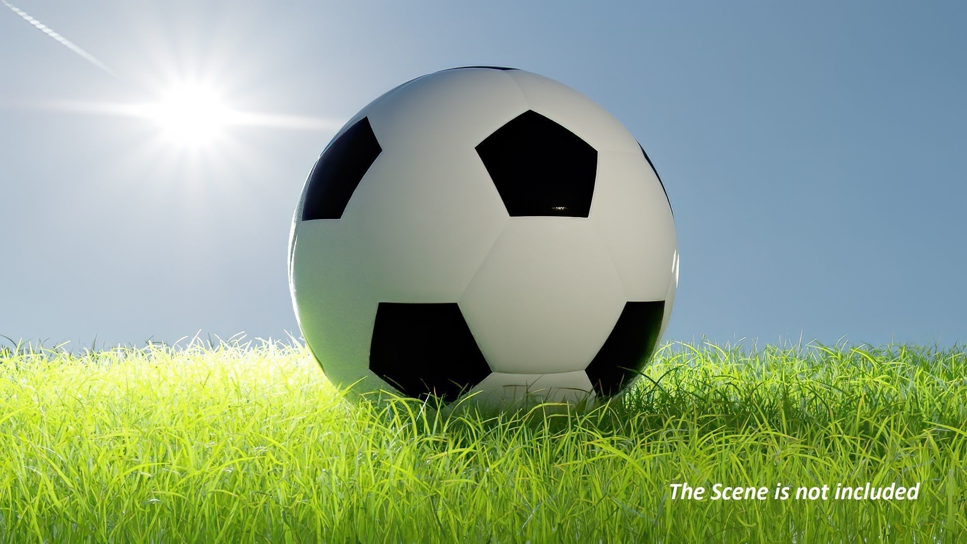 Leather Football model 3D model_3