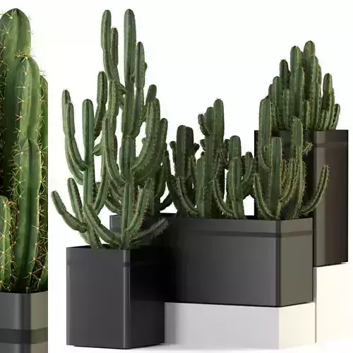 Plants collection 318 3D model