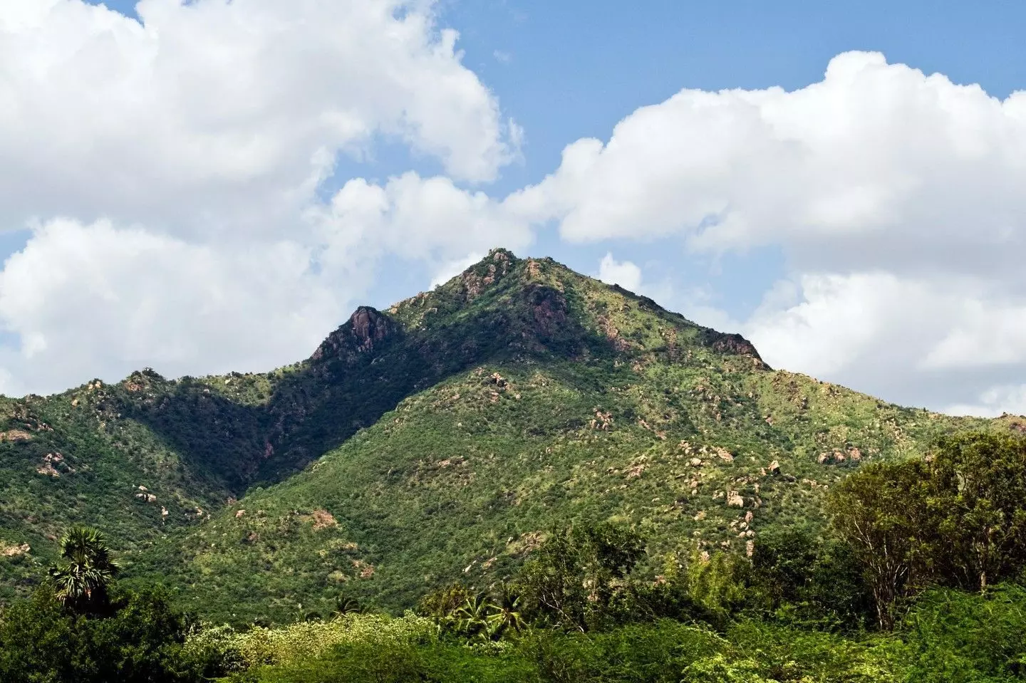 thiruvannamalai hill 3d Free 3D model