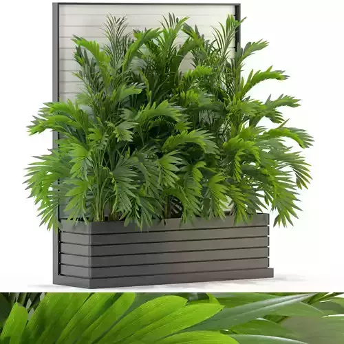 Plants collection 322