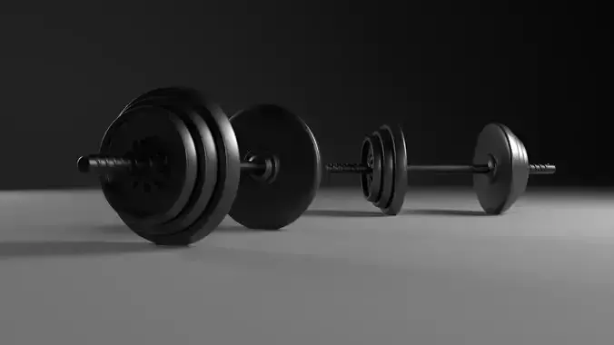 2 Dumbbell two dumbbells