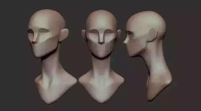 Stylized Female Head Planes for Sculpting Stylized 3D model