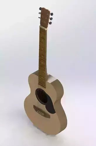 Guitar acoustic