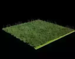 3D Grass Blender Model  Animated