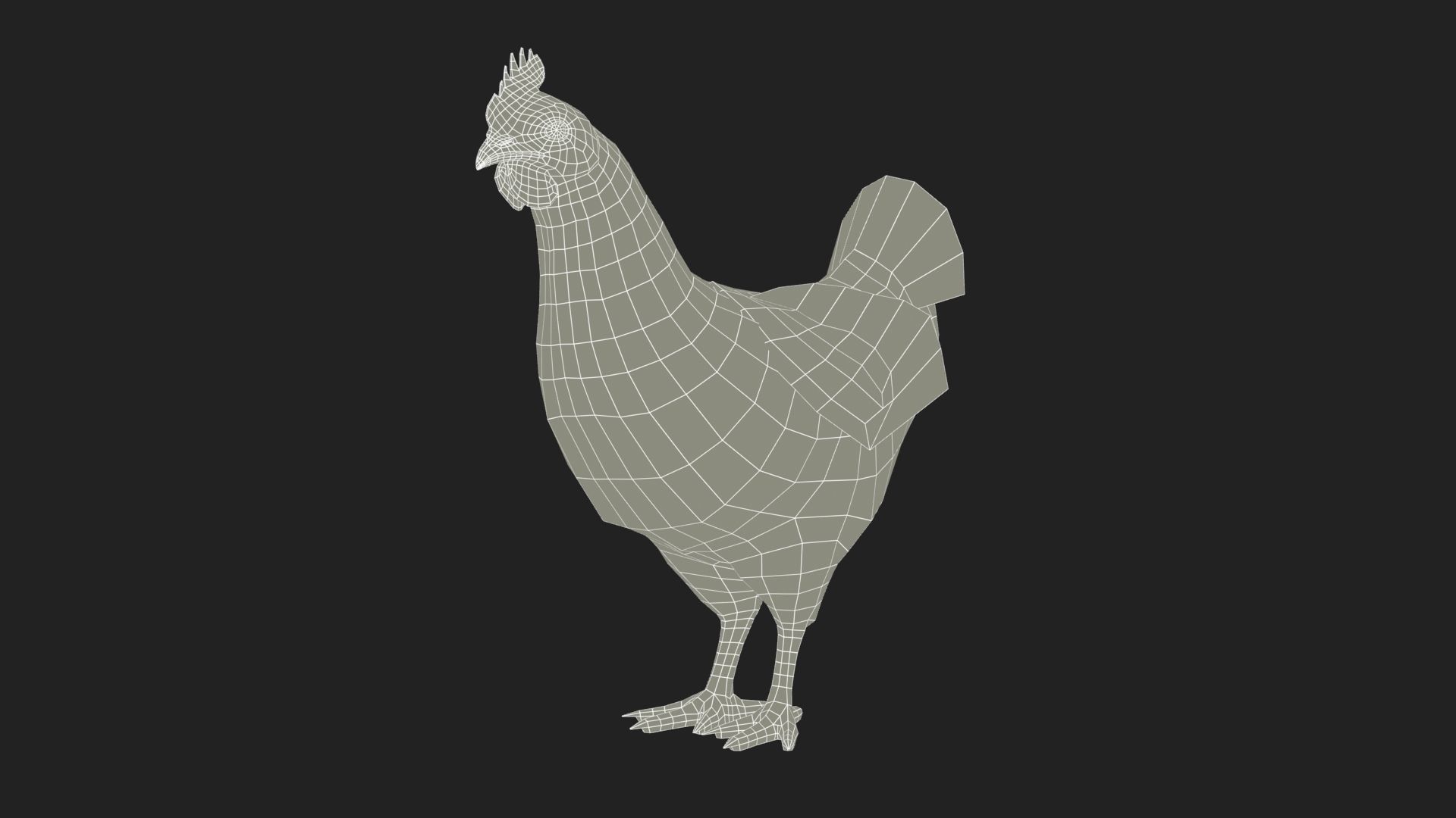 Chicken Low-poly 3D model_7
