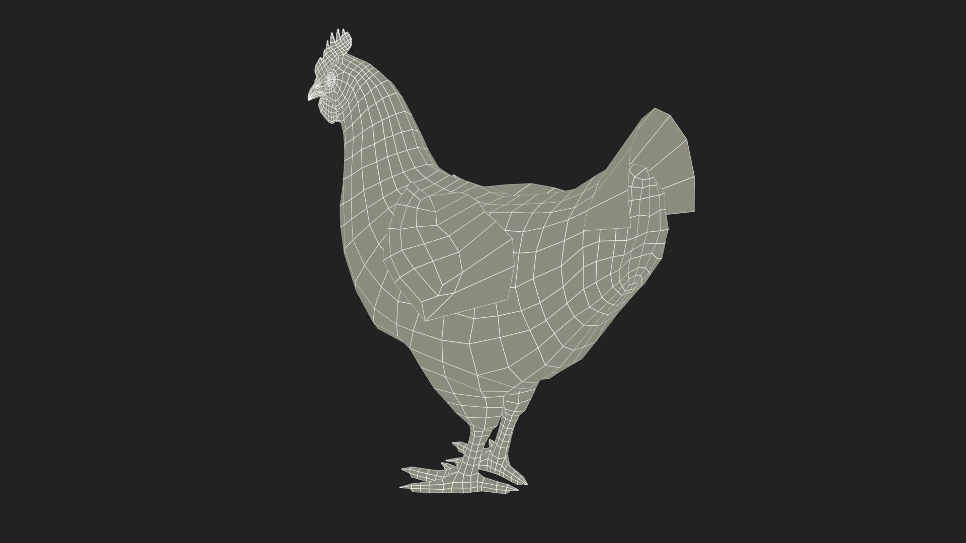 Chicken Low-poly 3D model_8
