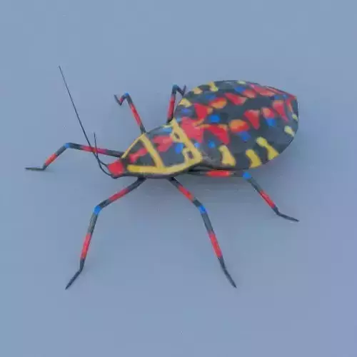 Coreid Bug Nymphs Low-poly 3D model