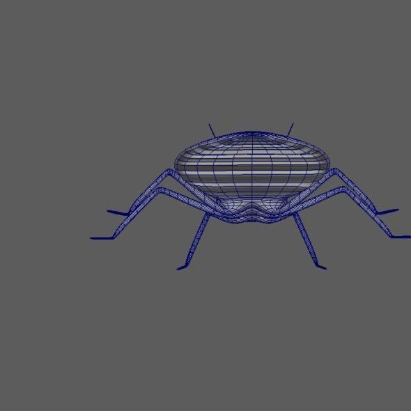 Coreid Bug Nymphs Low-poly 3D model_7