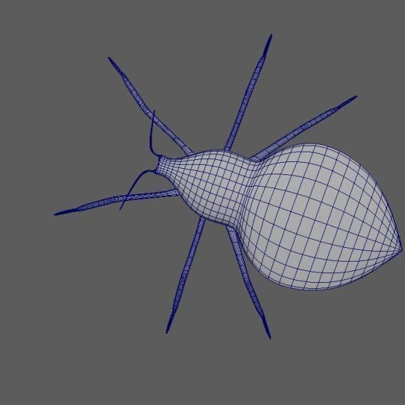 Coreid Bug Nymphs Low-poly 3D model_8