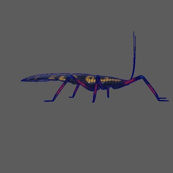 Coreid Bug Nymphs Low-poly 3D model_6
