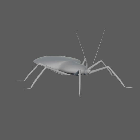 Coreid Bug Nymphs Low-poly 3D model_13