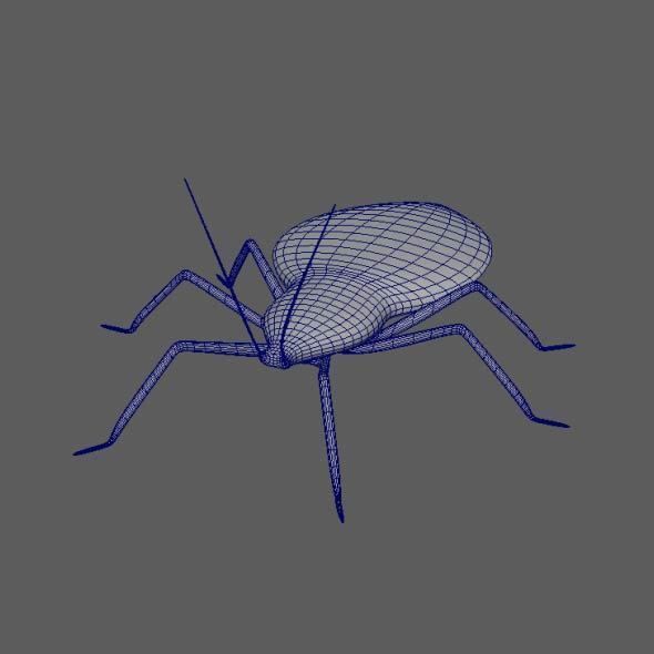 Coreid Bug Nymphs Low-poly 3D model_12