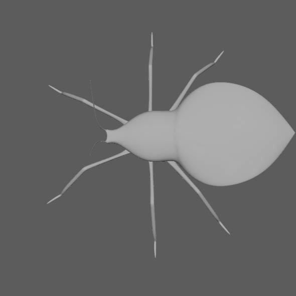 Coreid Bug Nymphs Low-poly 3D model_14